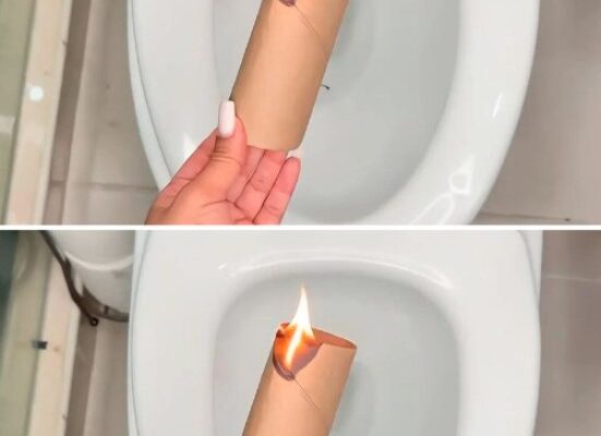 Voici ce qui se passe lorsque vous brûlez un rouleau de papier toilette dans la salle de bain… Et pourquoi je n’ai pas su cela plus tôt.
