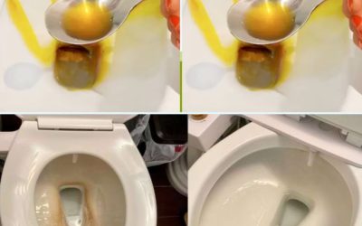 Comment nettoyer des toilettes avec un seul ingrédient