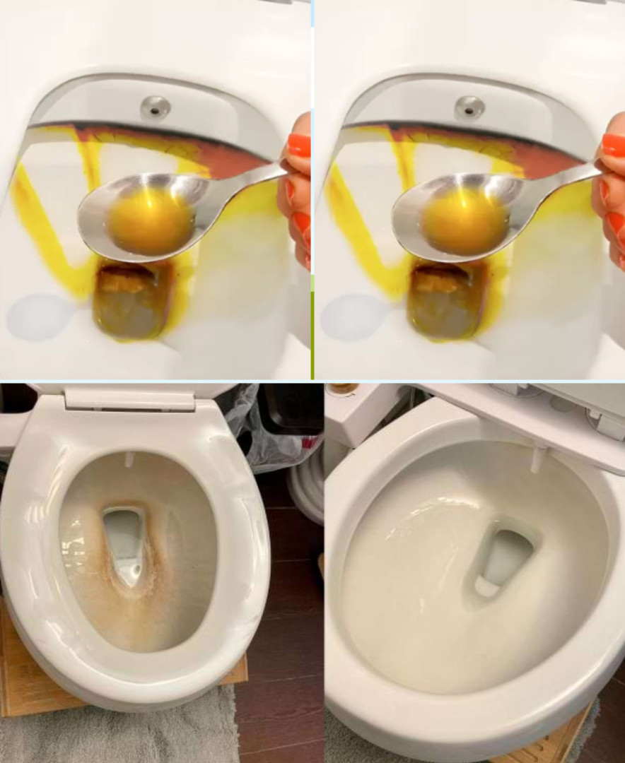 Comment nettoyer des toilettes avec un seul ingrédient
