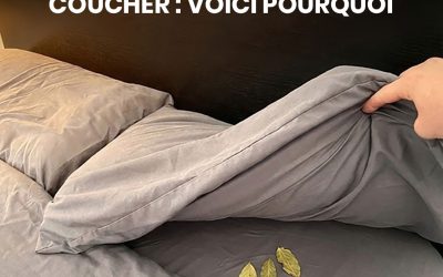 Placez trois feuilles de laurier sous le lit ou sous la couverture avant de vous coucher : voici pourquoi