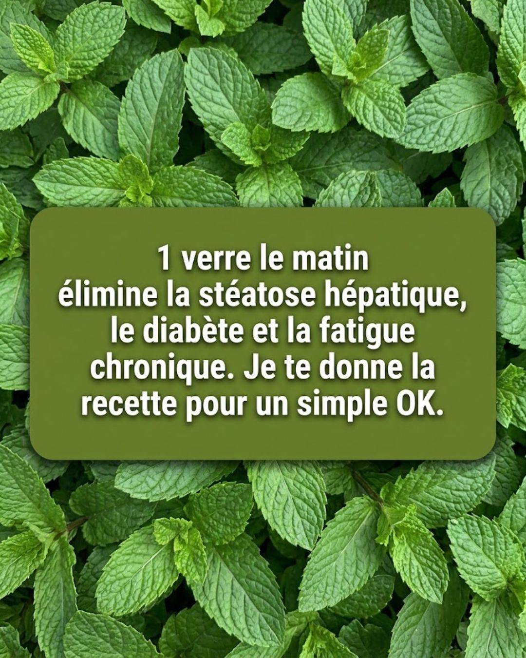 Menthe et Citron : Le remède maison qui purifie, rajeunit et vous donne de l’énergie en quelques minutes