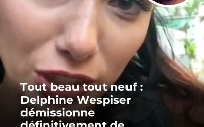 Tout beau tout neuf : Delphine Wespiser annonce son départ de l’émission présentée par Cyril Hanouna (ZAPTV)