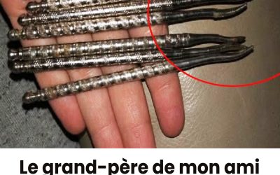 Seuls les plus perspicaces sauront repérer les deux chats sur cette photo : les voyez-vous ?