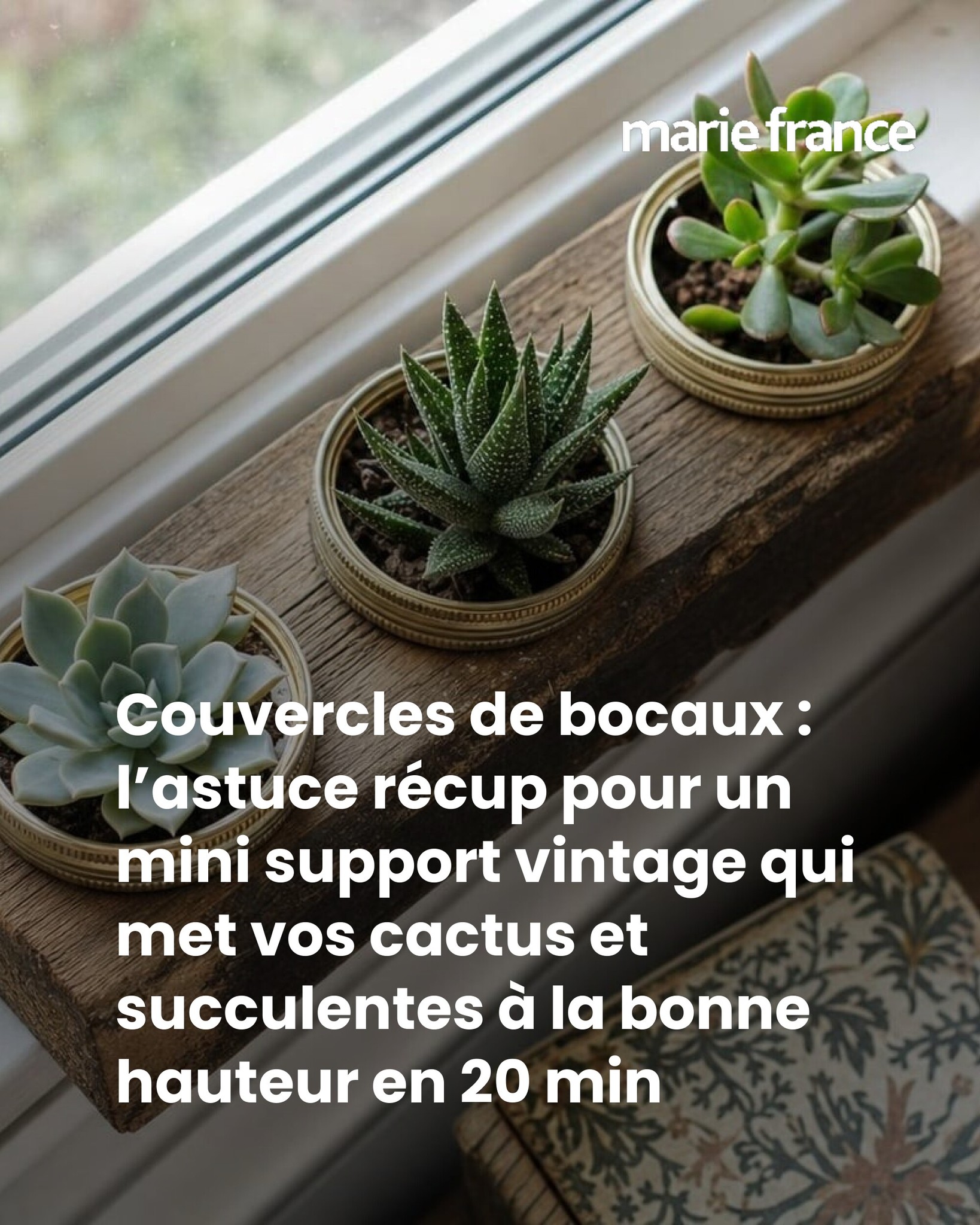 Couvercles de bocaux : l’astuce récup pour un mini support vintage qui met vos cactus et succulentes à la bonne hauteur en 20 min
