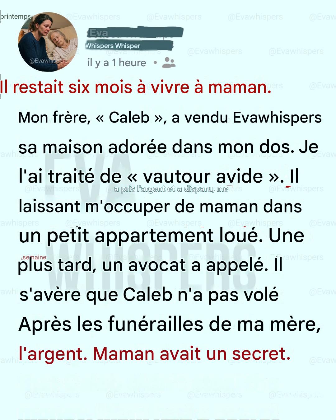 J’ai traité mon frère de vautour avide pour avoir vendu la maison de notre mère mourante, mais la vérité m’a brisée.