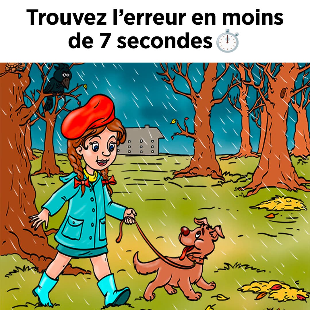 Quiz : essayez de retrouver l’unique erreur présente dans chacune de ces 11 images