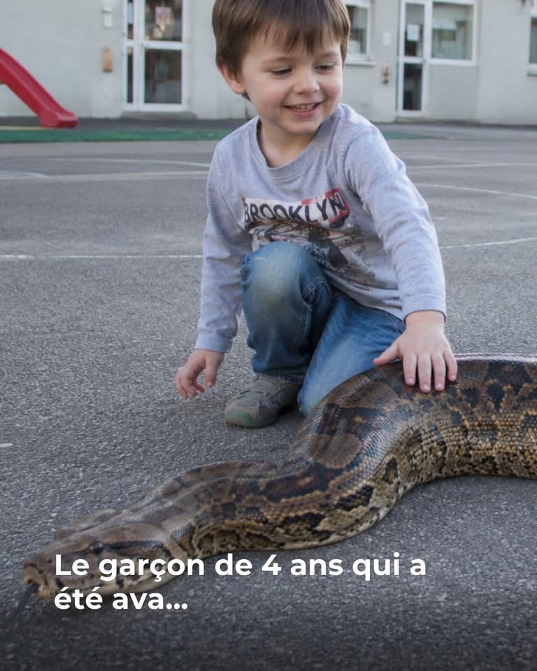 Le garçon de 4 ans qui a été ava…Voir plus
