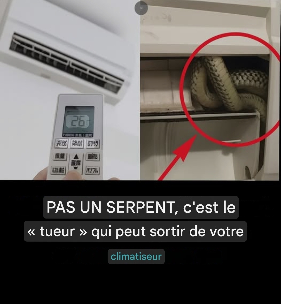 PAS UN SERPENT, c’est le « tueur » qui peut sortir de votre climatiseur 👇