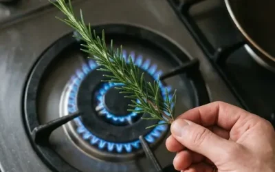 Pourquoi faut-il bruler du romarin à la maison ?