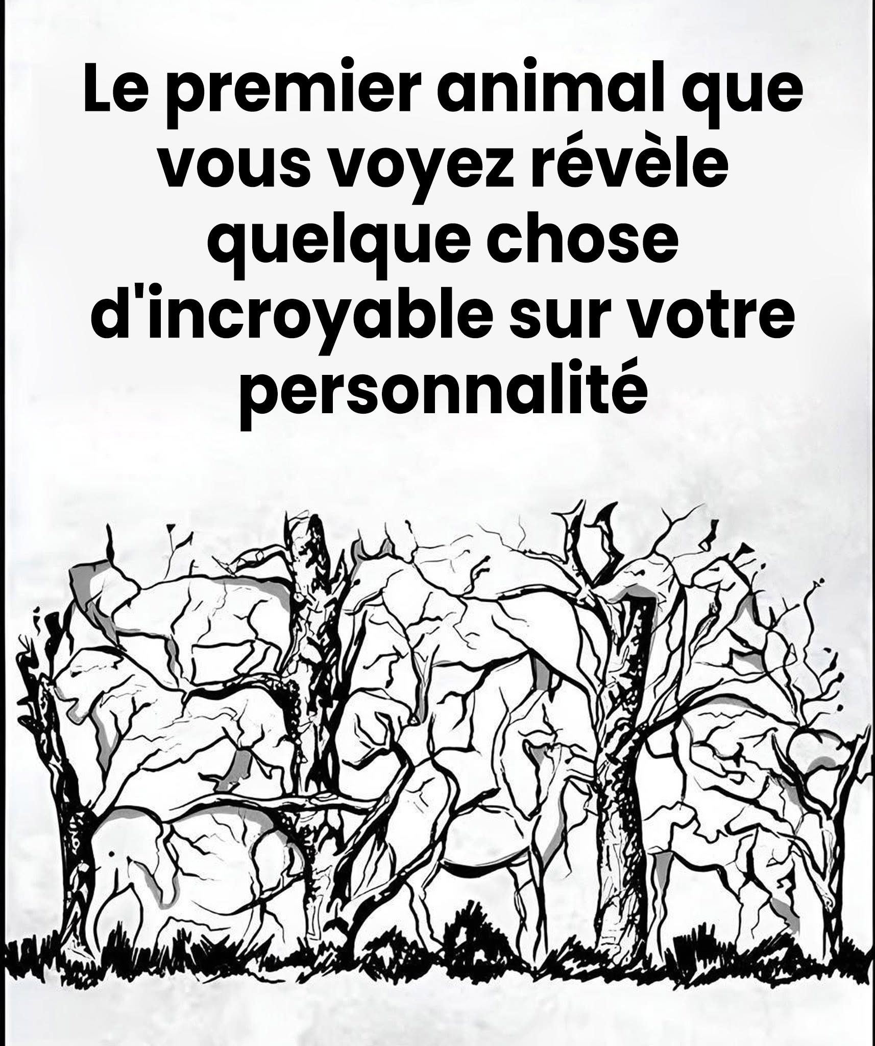 Le premier animal que vous voyez révèle quelque chose d’incroyable sur votre personnalité.