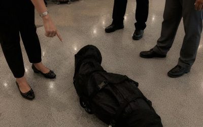 J’ai accepté de surveiller le sac d’un inconnu à l’aéroport – je l’ai regretté dès que les agents de sécurité et la police sont arrivés