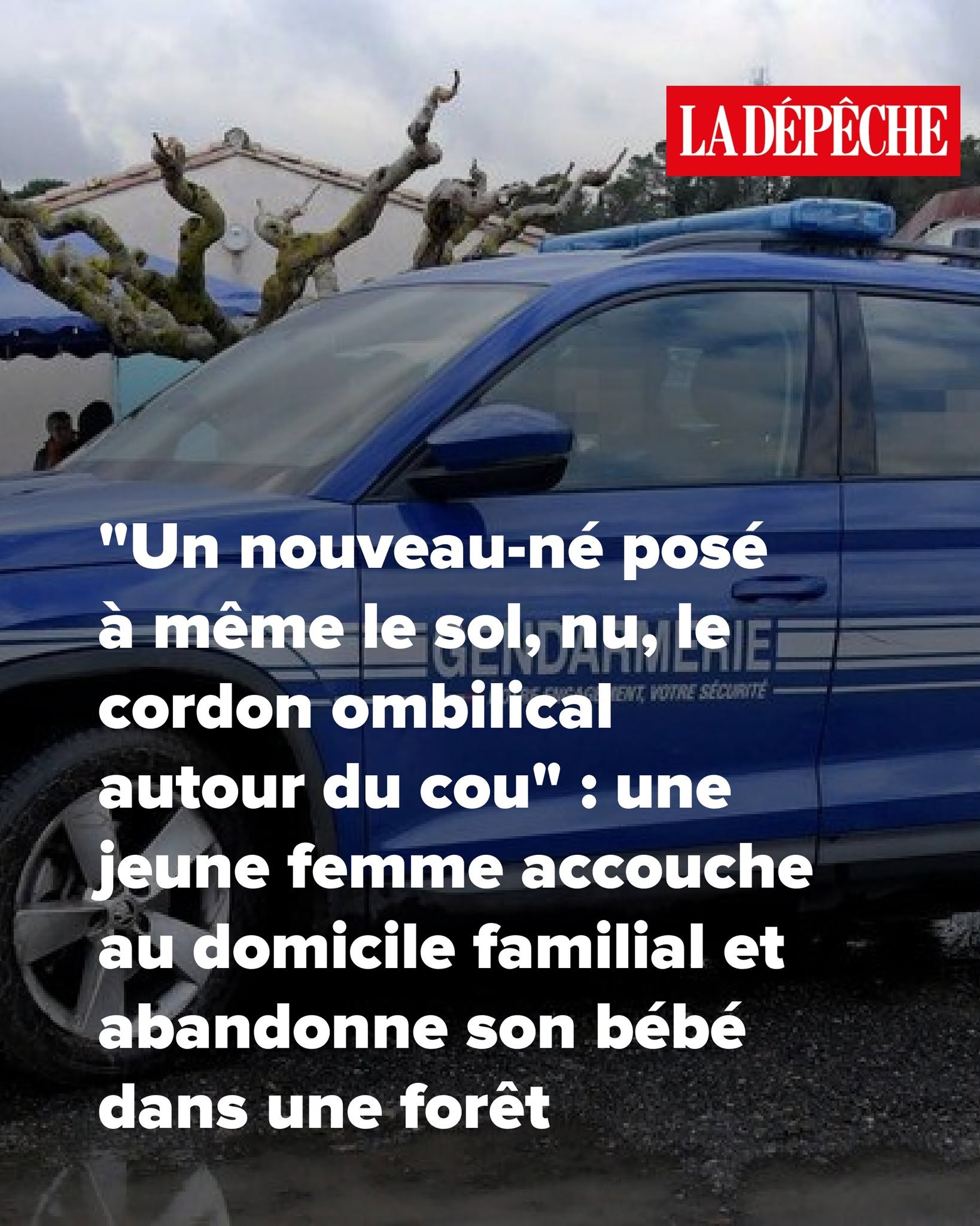 “Un nouveau-né posé à même le sol, nu, le cordon ombilical autour du cou” : une jeune femme accouche au domicile familial et abandonne son bébé dans une forêt