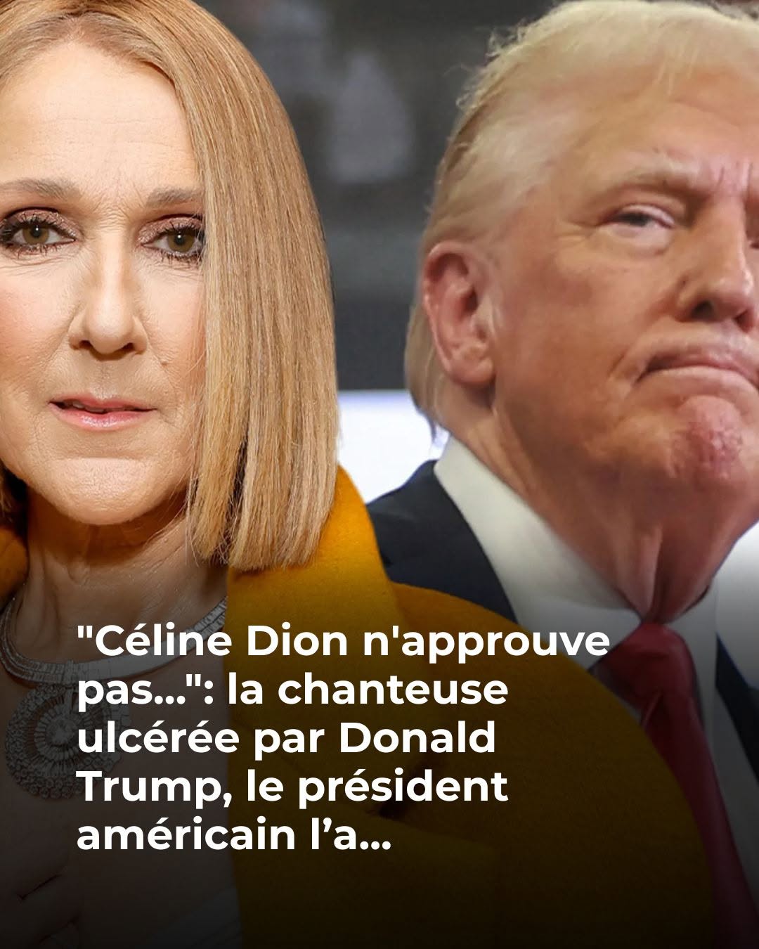 Céline Dion vs Donald Trump : ce clash inattendu enflamme la toile 😳🔥👇