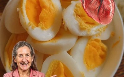 Les œufs révélés : la vérité surprenante sur la consommation quotidienne d’œufs