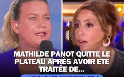 Elie Semoun s’attaque frontalement à Mathilde Panot et l’insulte