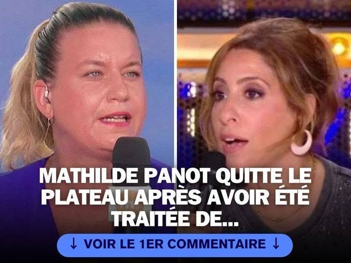 Elie Semoun s’attaque frontalement à Mathilde Panot et l’insulte