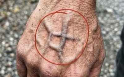 Si vos veines sont visibles, cela signifie que vous êtes… Voir plus