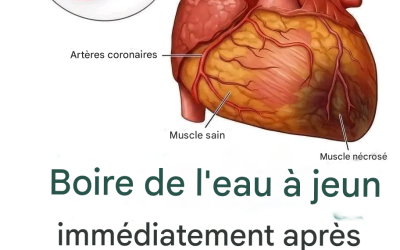 Saviez-vous que boire de l’eau à jeun pouvait être… voir plus