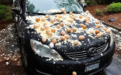 Ma voiture était couverte d’œufs — et je n’avais pas la moindre idée de pourquoi