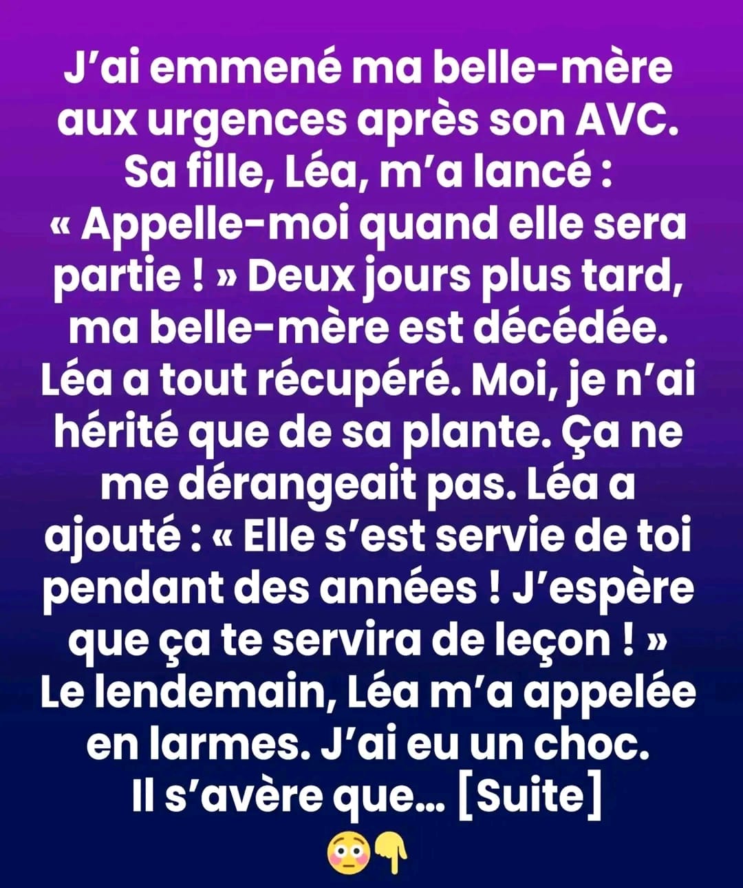 Je n’ai hérité que d’une vieille plante — la vérité qu’elle recelait a tout changé