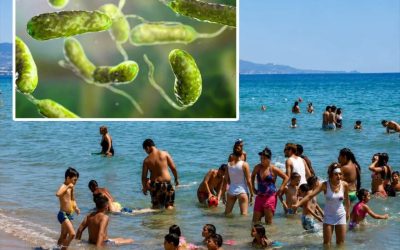 Des bactéries mangeuses de chair sèment l’inquiétude en mer : risques pour les nageurs (1/2)