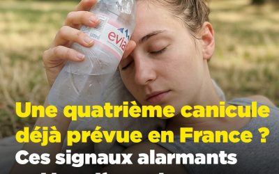 Quatrième canicule : les climatologues nous alertent et voilà comment s’y préparer sereinement