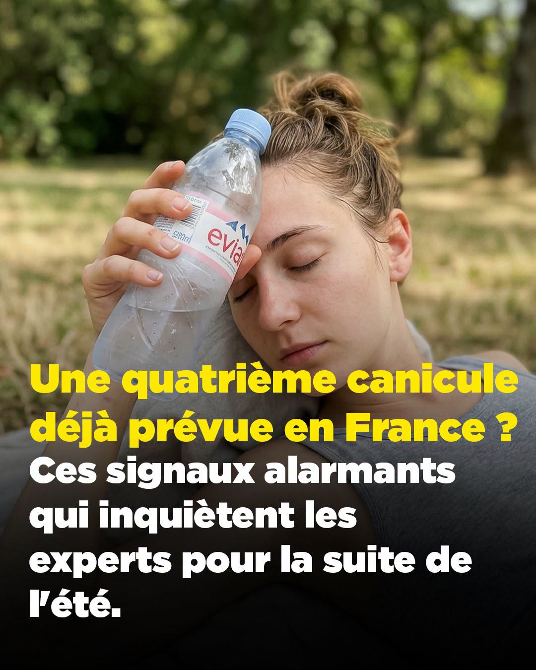 Quatrième canicule : les climatologues nous alertent et voilà comment s’y préparer sereinement