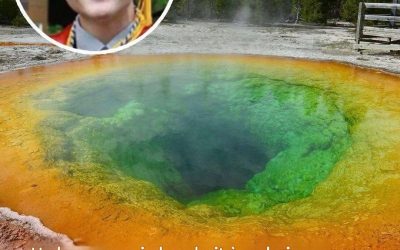 Il y trempa d’abord son doigt pour en tester la température.