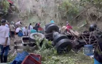 L’accident d’un camion rempli de ruches entraine l’évasion de 250 millions d’abeilles, les autorités mobilisées