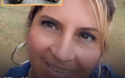 Une femme découvre une étrange créature ressemblant à un serpent – vous ne croirez pas ce que c’est réellement