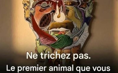 Le premier animal que tu repères dans cette image révèle ton « pire défaut » L’histoire complète dans le premier commentaire