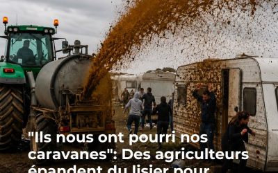 Les gens du voyage ne voulaient pas partir, un agriculteur utilise un taureau pour les déloger