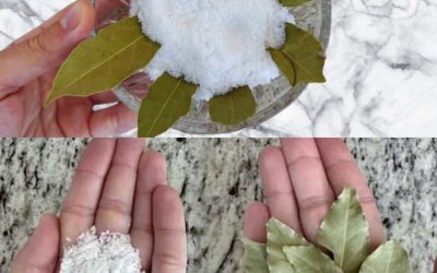 Ma grand-mère a toujours l’habitude de placer des feuilles de laurier dans du sel 😯. Quand j’ai enfin compris pourquoi, j’ai été vraiment étonnée — je n’avais jamais vu une astuce pareille 😅. Depuis, je la reproduis moi-même, et le résultat est bluffant 😍. Voici à quoi sert exactement le sel associé aux feuilles de laurier 👇👇‼️⚠