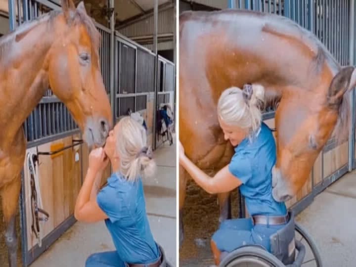 Bourg-Saint-Maurice : elle affame ses chevaux, le sort se retourne contre elle