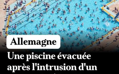 Allemagne : une piscine évacuée par les forces de l’ordre après l’intrusion de plusieurs dizaines de Français