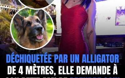Ses dernières pensées étaient pour son chien 🥺