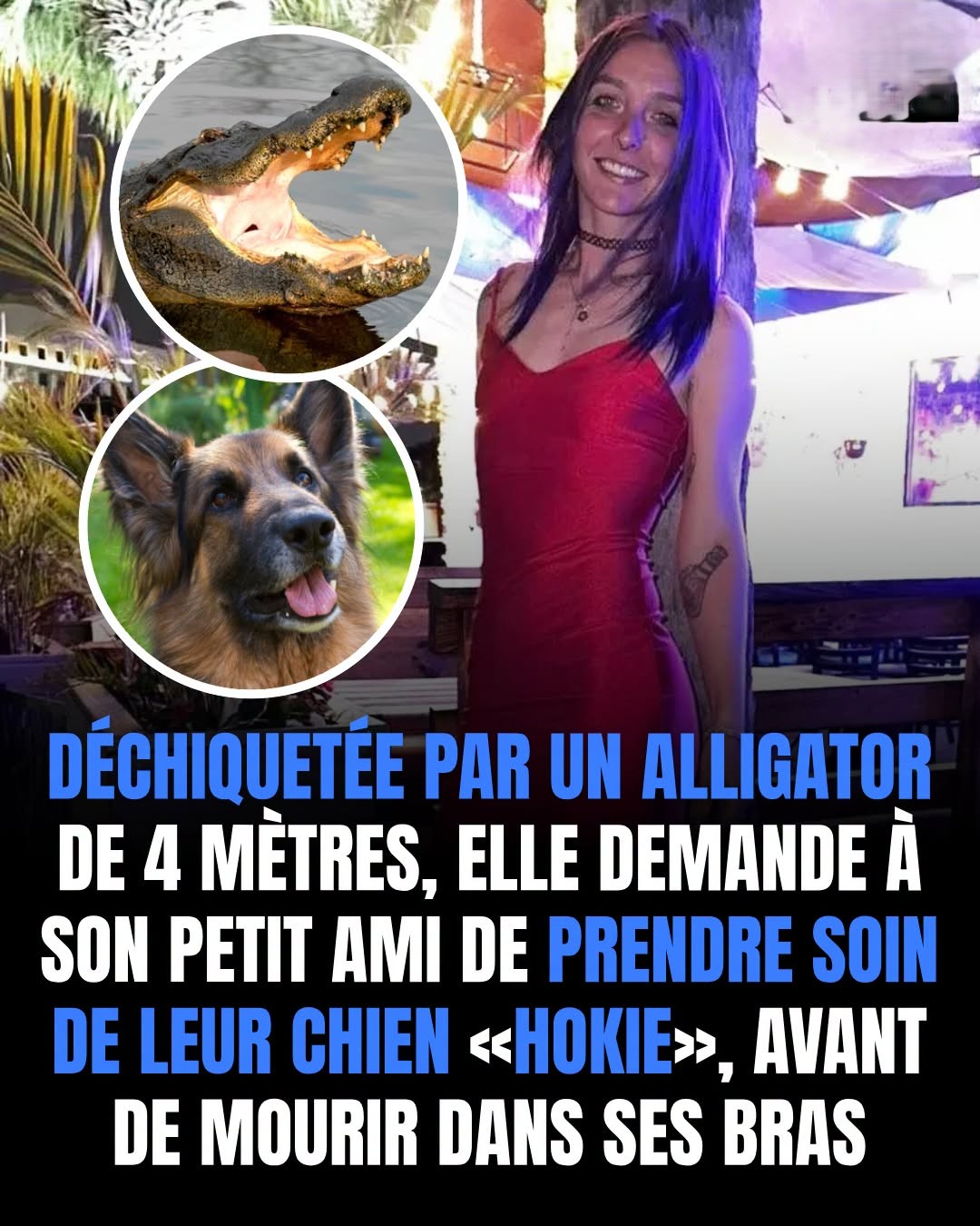 Ses dernières pensées étaient pour son chien 🥺