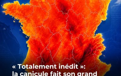 Canicule : près de 3 000 décès enregistrés en Île-de-France durant la dernière semaine de juin, soit une hausse de “+122 % de la mortalité”