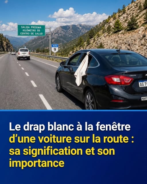 Il s’agit d’une indication importante en cas de … Voir plus…