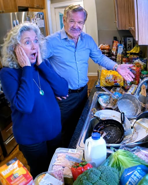 Un homme m’a invitée à dîner, mais à mon arrivée, il n’y avait rien à manger : l’évier débordait de vaisselle sale et des courses étaient éparpillées sur le plan de travail.