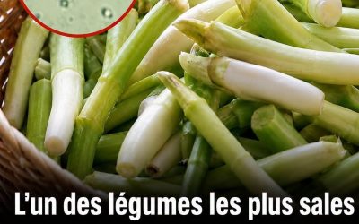 Le légume qui est le plus susceptible de contenir des parasites est aussi l’un de ceux que beaucoup de gens adorent manger cru