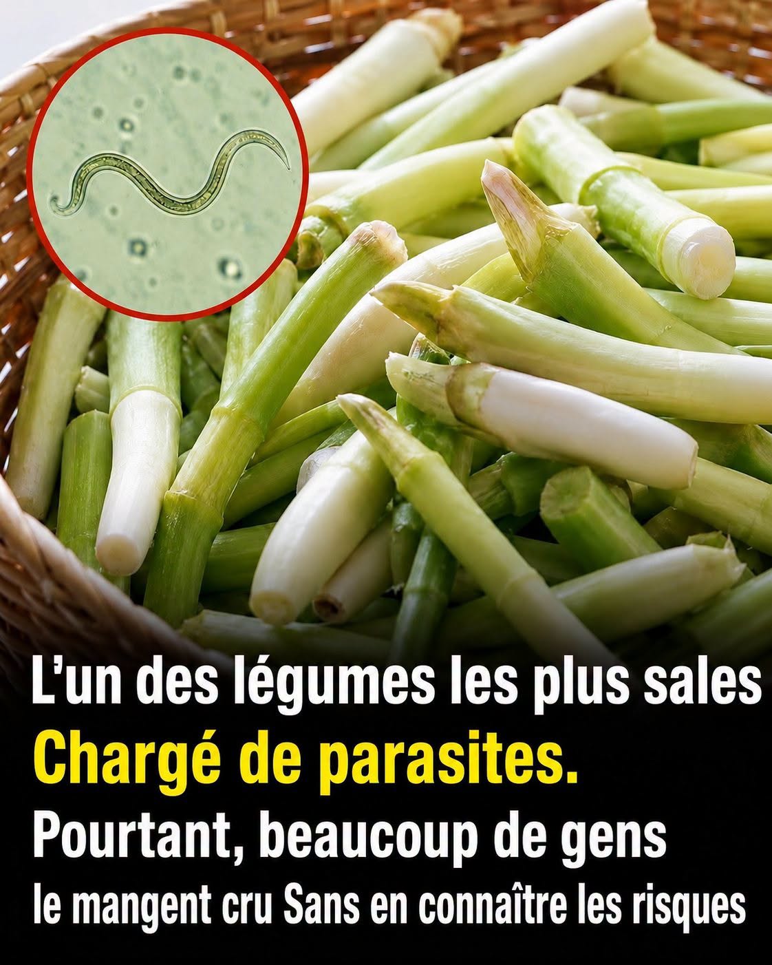 Le légume qui est le plus susceptible de contenir des parasites est aussi l’un de ceux que beaucoup de gens adorent manger cru