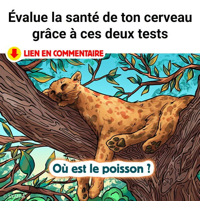 Évalue la santé de ton cerveau grâce à ces deux tests
