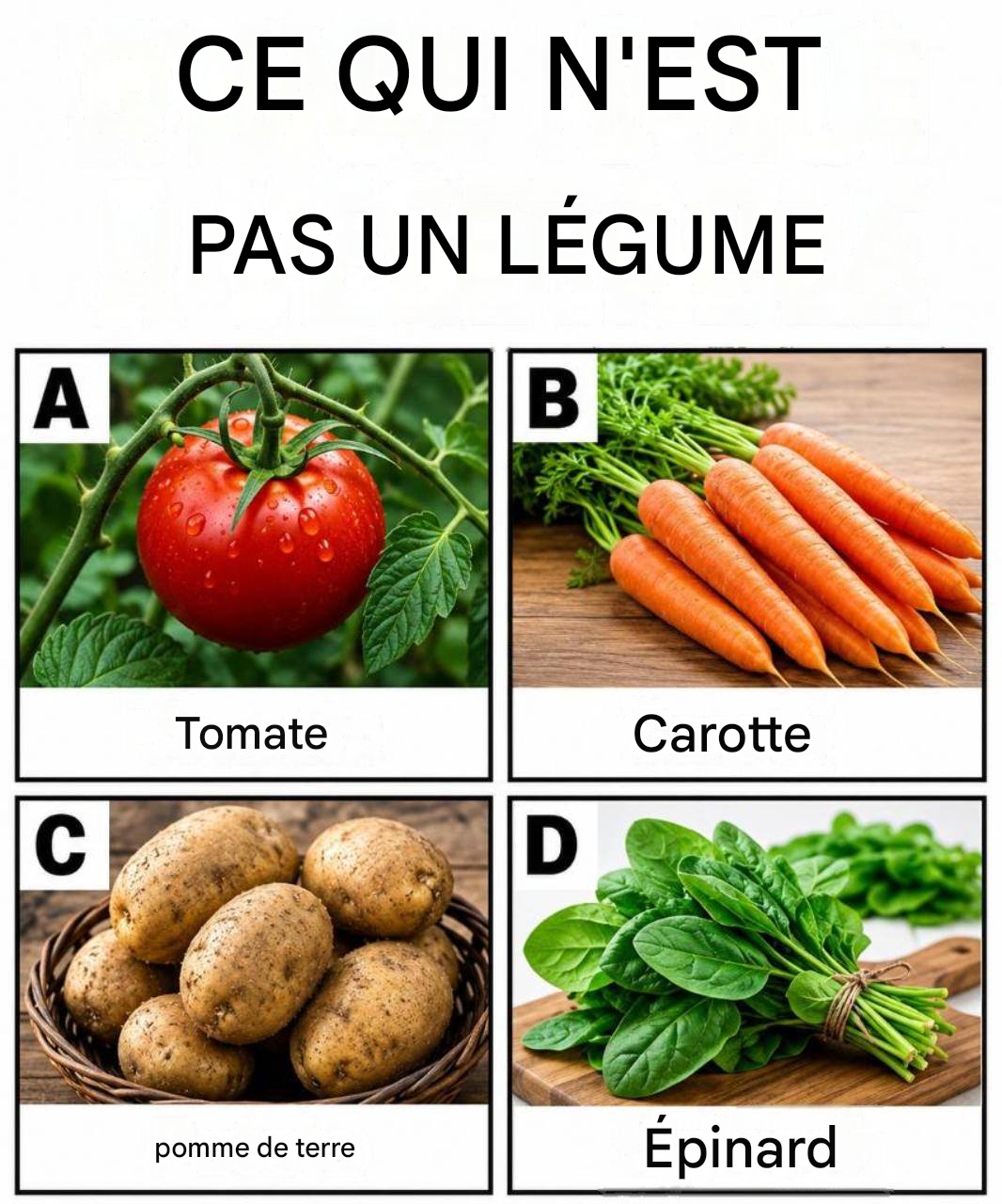 Pouvez-vous répondre à ces questions difficiles ?