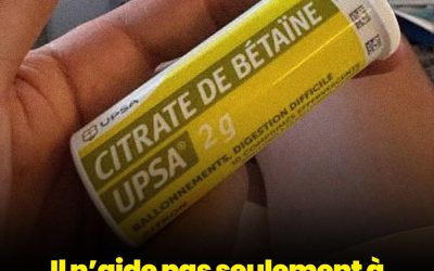 Bien plus qu’un simple allié de la digestion : les bienfaits méconnus du citrate de bétaïne