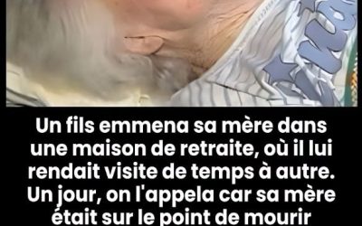 Ce fils n’avait plus le temps de voir sa mère : une révélation venue trop tard, mais chargée d’amour