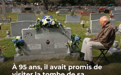 Un drame bouleverse le cimetière…😭💔👇