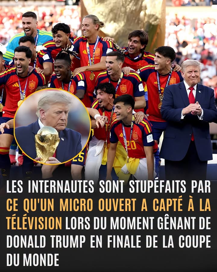 Ce buffle fait le buzz sur les réseaux sociaux à cause de sa forte ressemblance avec Donald Trump