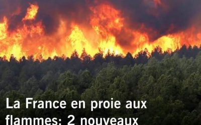 Incendies de Fontainebleau : la cagnotte de la Fondation du patrimoine dépasse déjà les 600 000€
