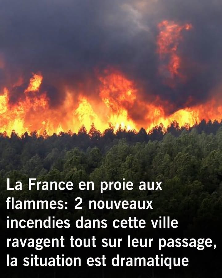 Incendies de Fontainebleau : la cagnotte de la Fondation du patrimoine dépasse déjà les 600 000€